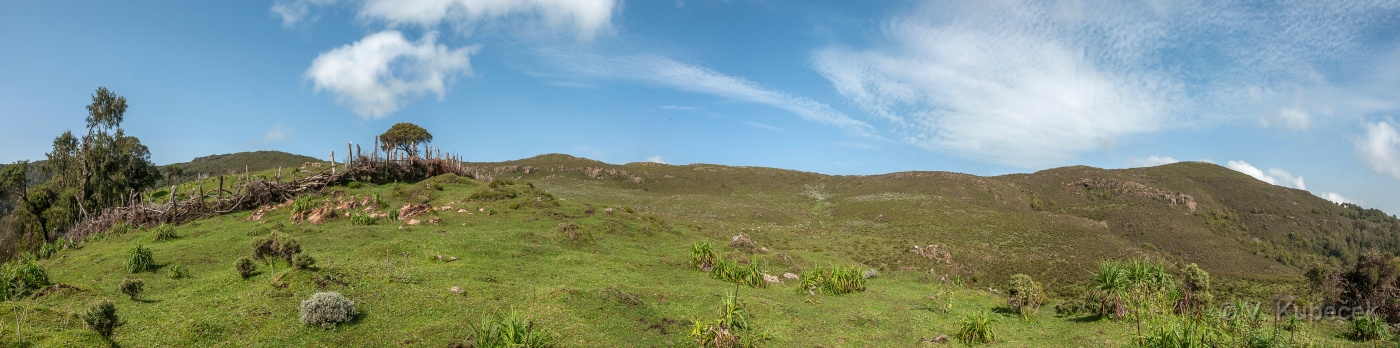 [Group 15]-DSC 6731 DSC 6734-4 images